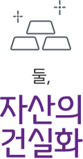 둘, 자산의 건실화